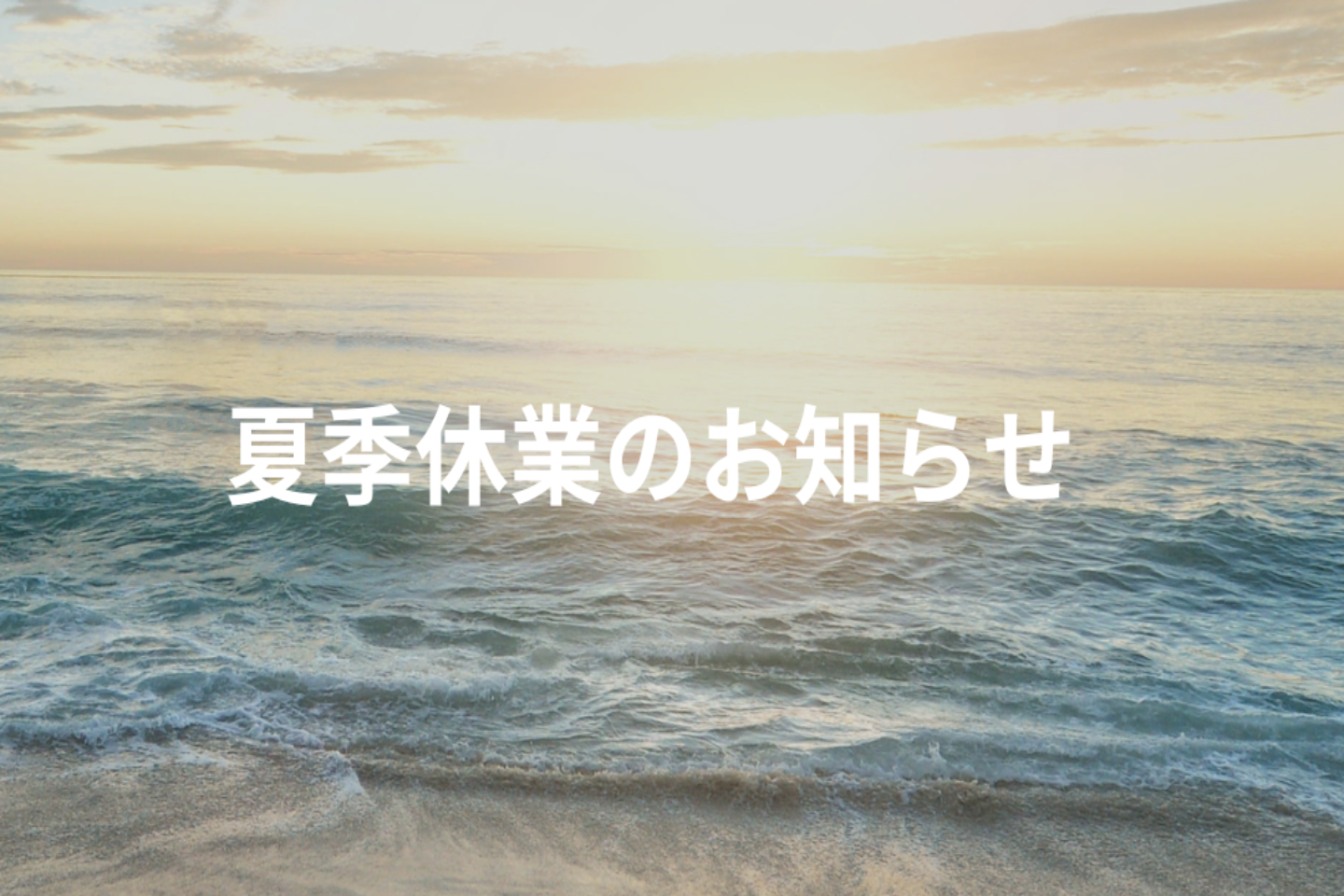 Laced-up High-waistpantsのコピー(test)