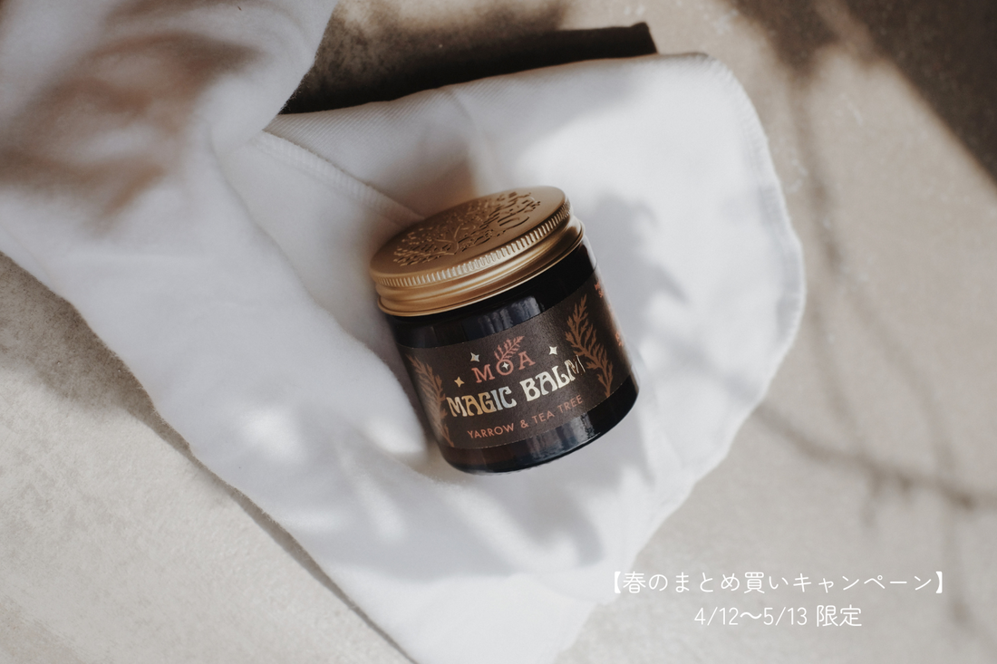 春のまとめ買いキャンペーン